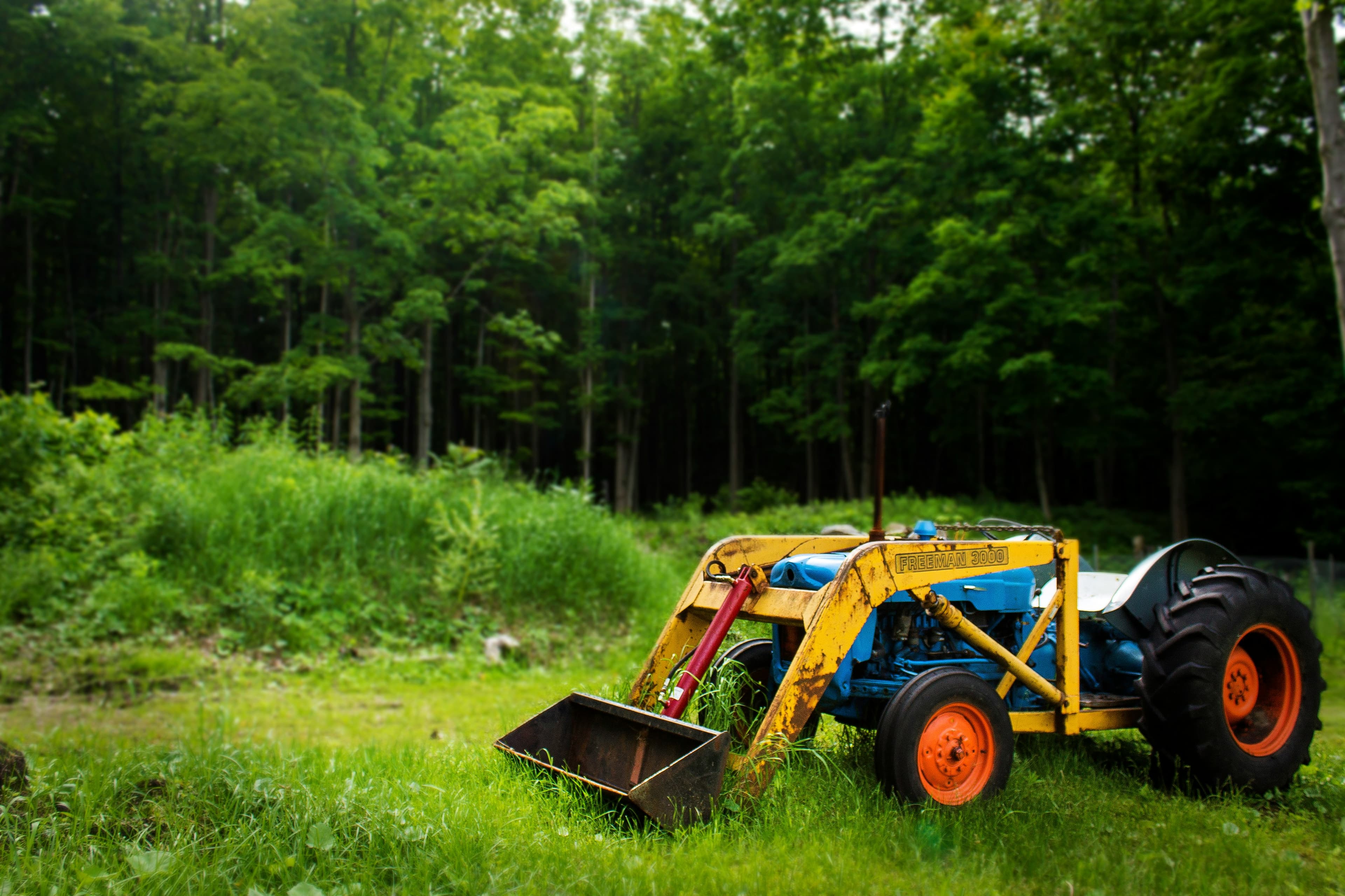 Targeted cleanup and light grading with compact machinery to clear brush, remove small roots/rocks, and re-level soil; we can also spread gravel, soil, or mulch as needed. Best for overgrown or pre-planting prep, typically ½–1½ days; excludes deep excavation or structural digging.